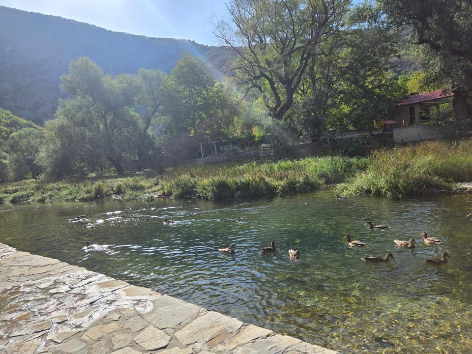 Natural landscape, River view