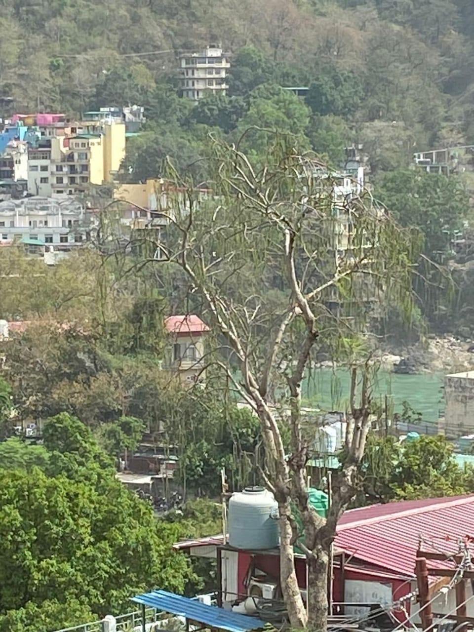 Cozy Homes Apartment in Rishikesh