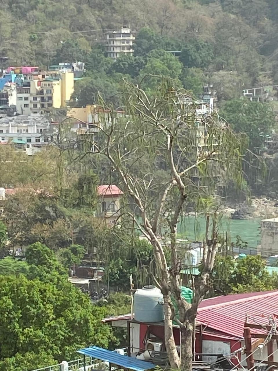 Cozy Homes Apartment in Rishikesh