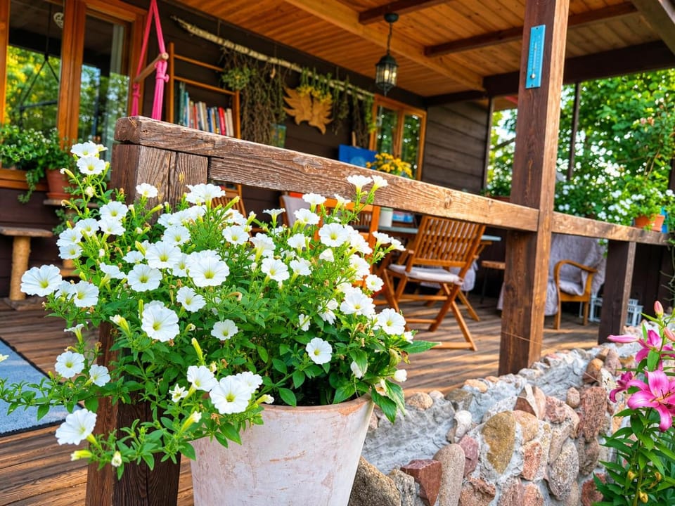 Balcony/Terrace
