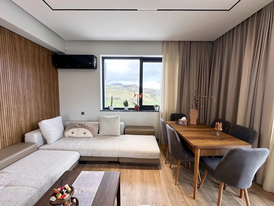 Living room, Seating area, Dining area