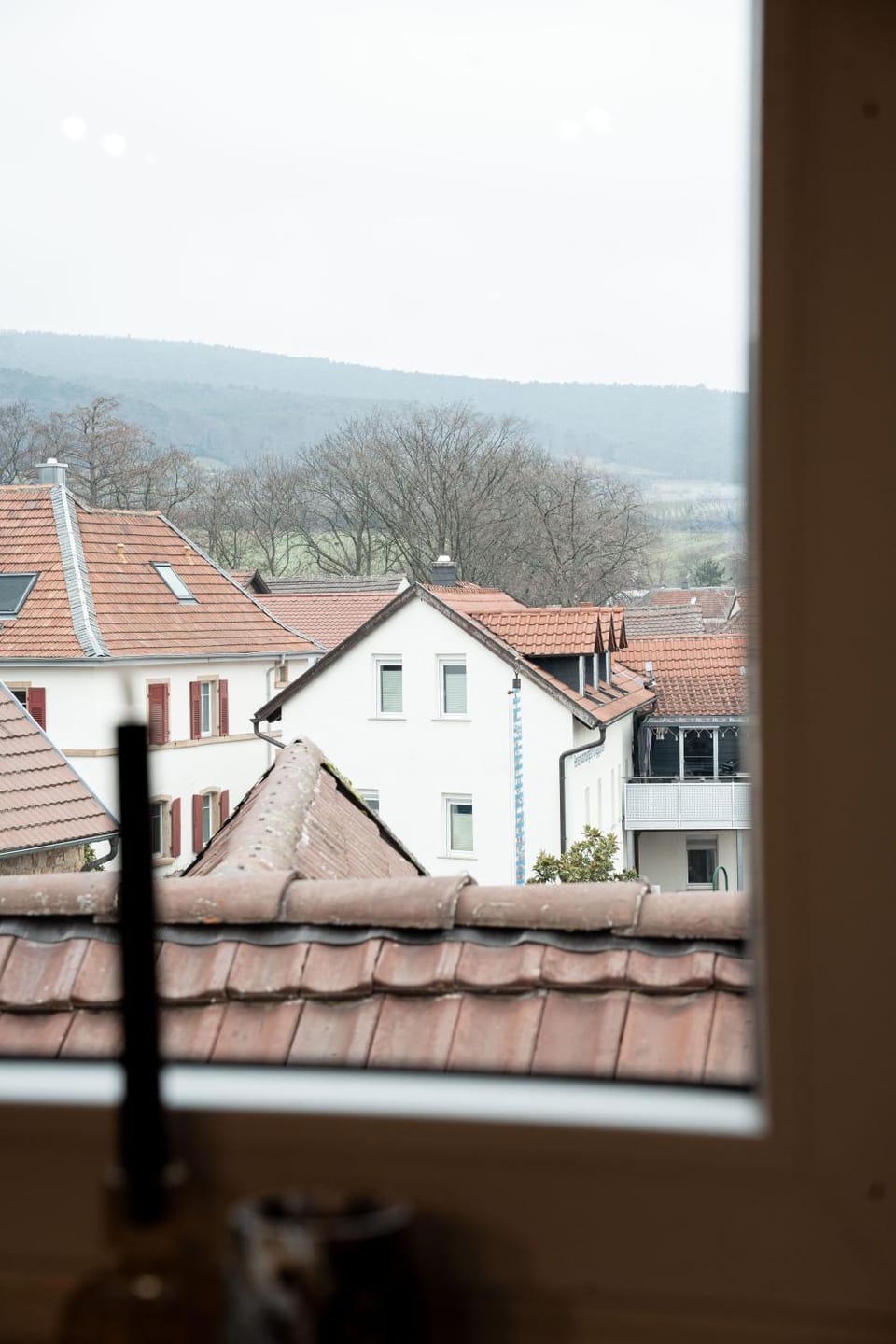 Stilvolles Apartment für 4 Gäste in bester Lage in Deidesheim an der Weinstraße Apartment in Rhineland-Palatinate