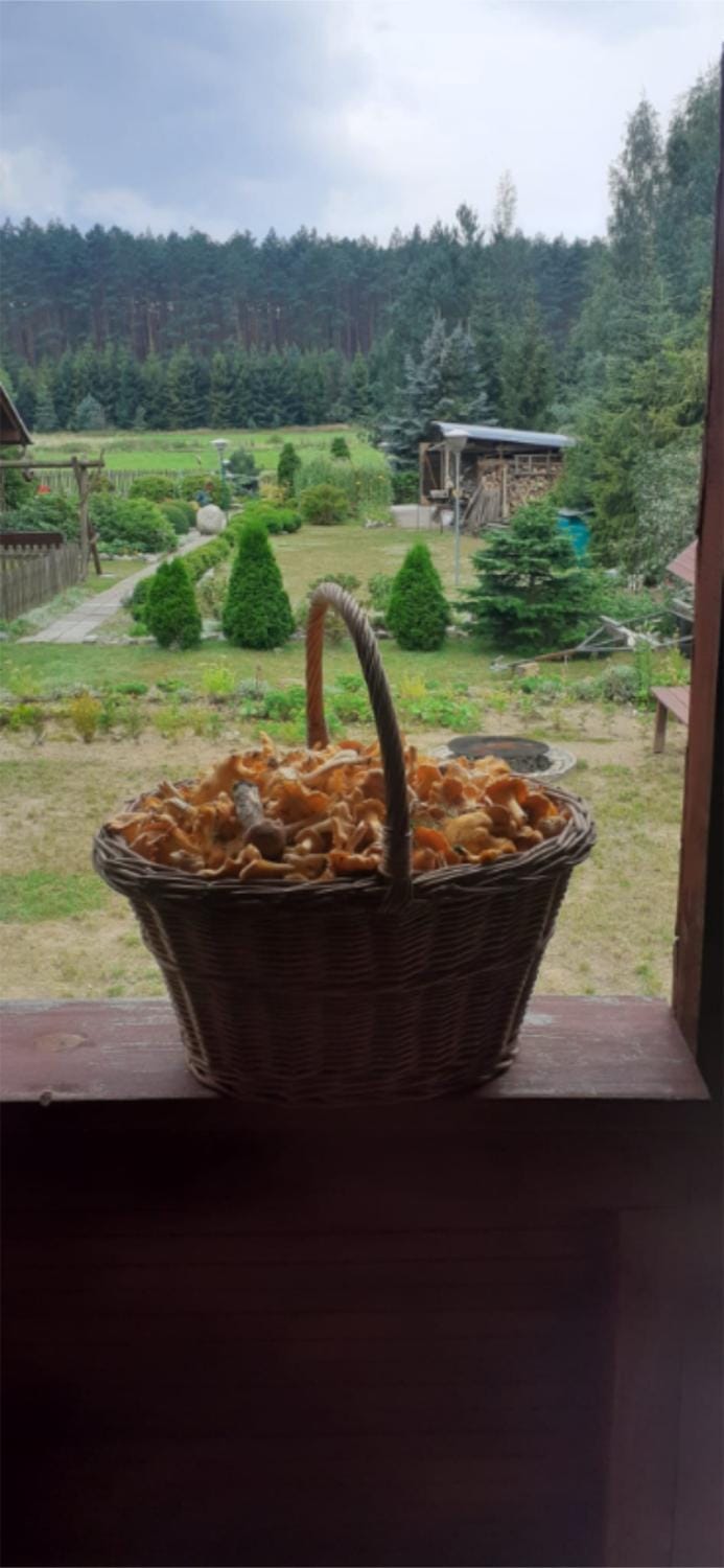 Day, Natural landscape, Garden, Food and drinks