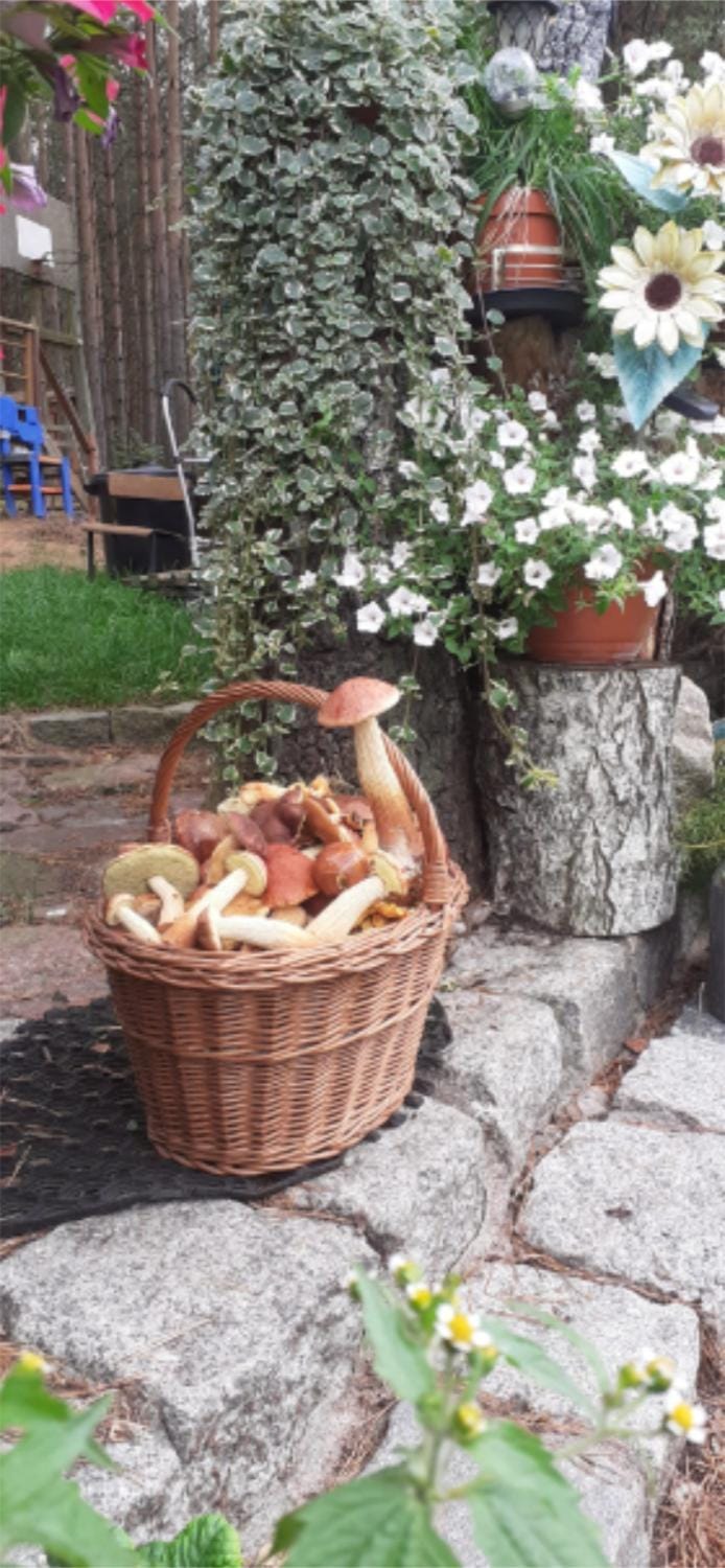 Garden, Garden