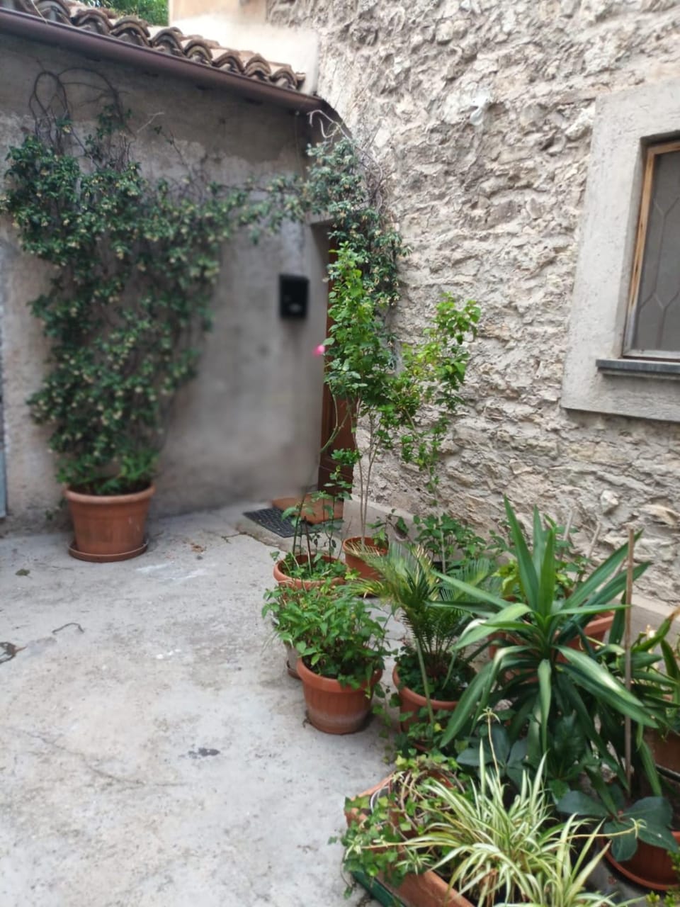 Day, Garden, Garden view