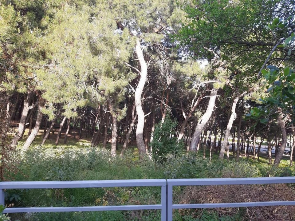 Hidden Garden Studio Apartment in İzmir Province
