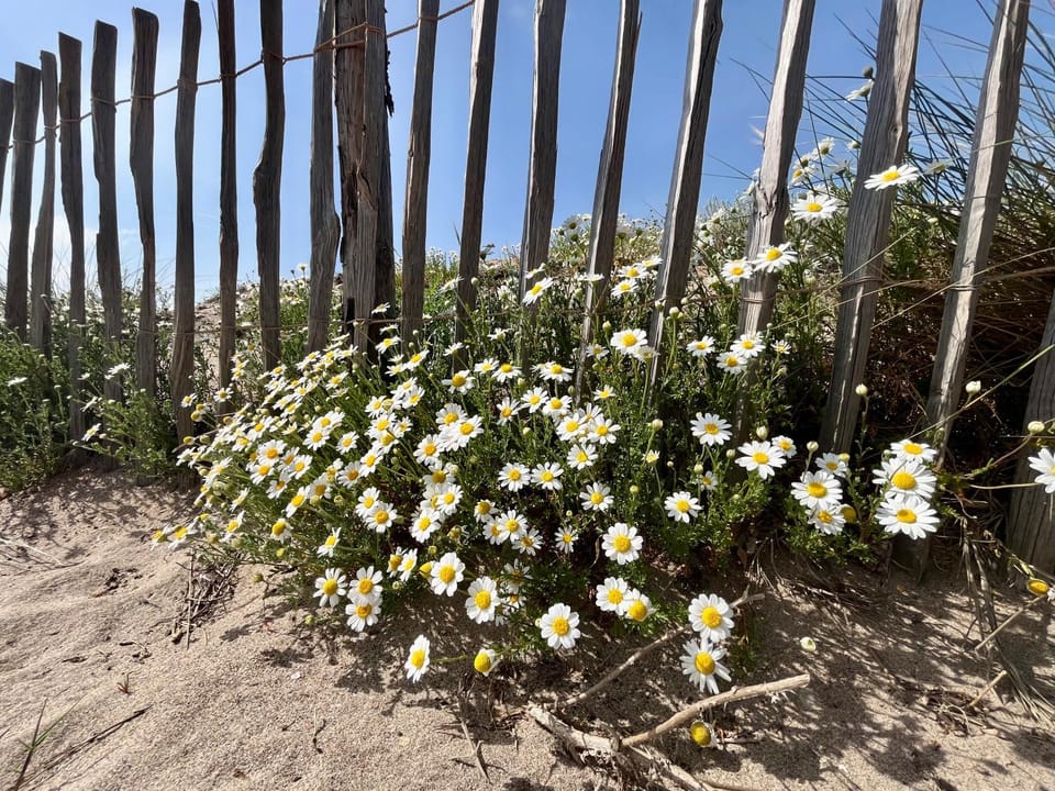 Maison 6 personnes, clim, proche plages House in Portiragnes