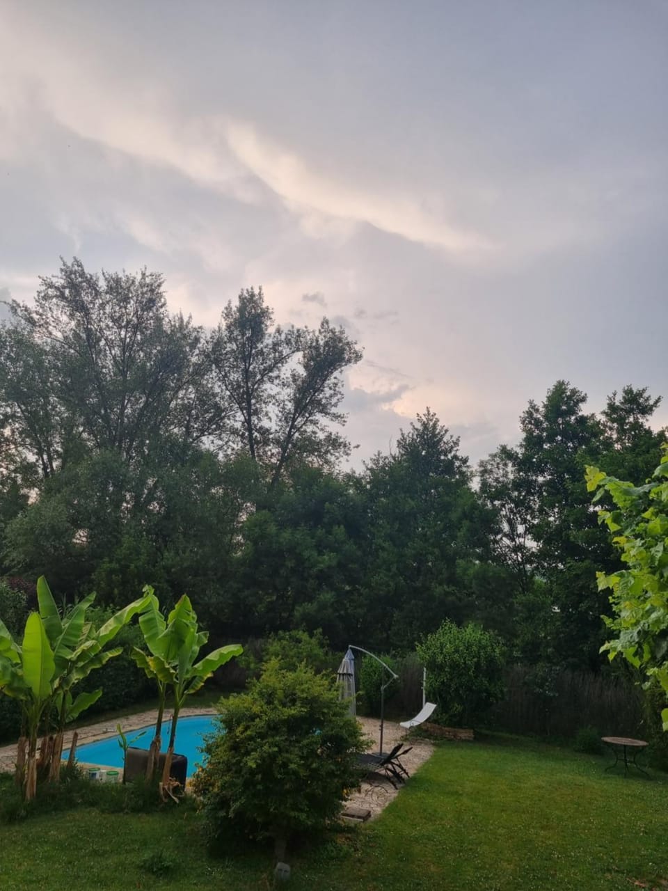 Garden, Garden view, Swimming pool
