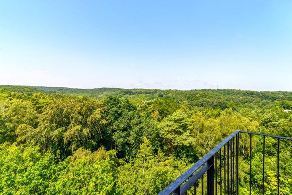 Natural landscape, View (from property/room), Balcony/Terrace
