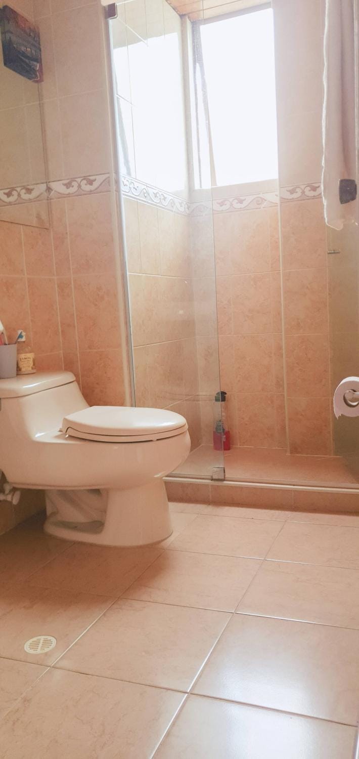 Toilet, Bathroom