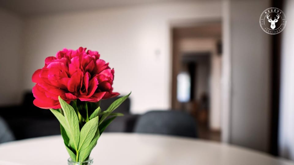 Rezéti vendégház Apartment in Hungary