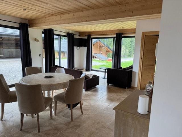 Chalet PLJ Apartment in Châtel