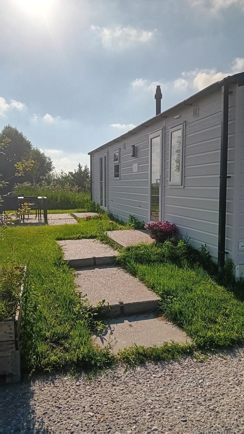 Day, Garden, Garden view