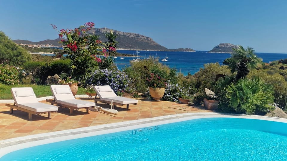 Swimming pool, sunbed