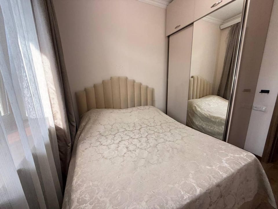 Near Republic Square Apartment on Leo street Apartment in Yerevan