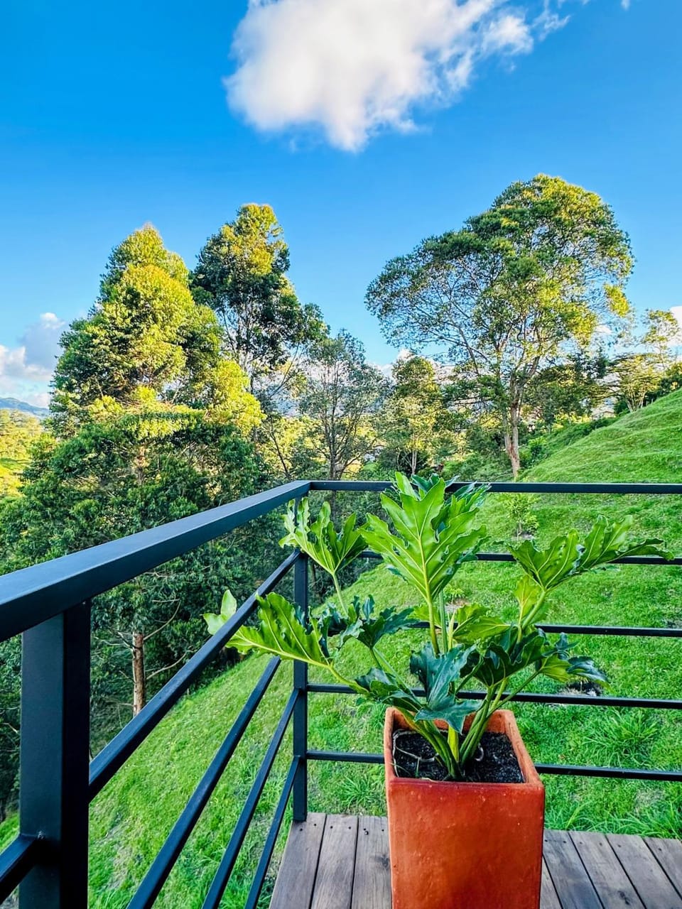 Cabaña MonteCristo Nature lodge in Antioquia