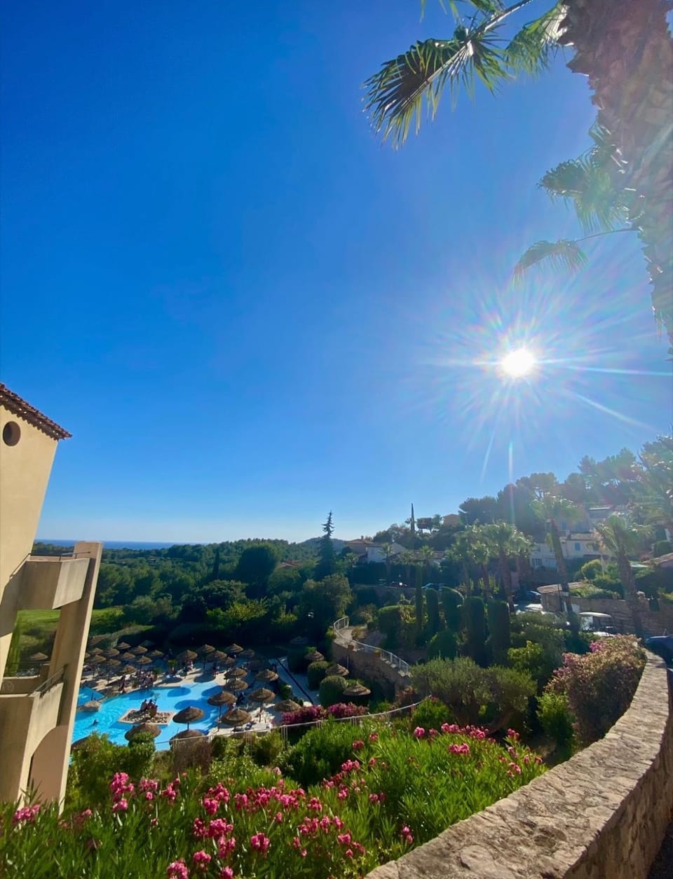 Natural landscape, Garden, Pool view, Swimming pool