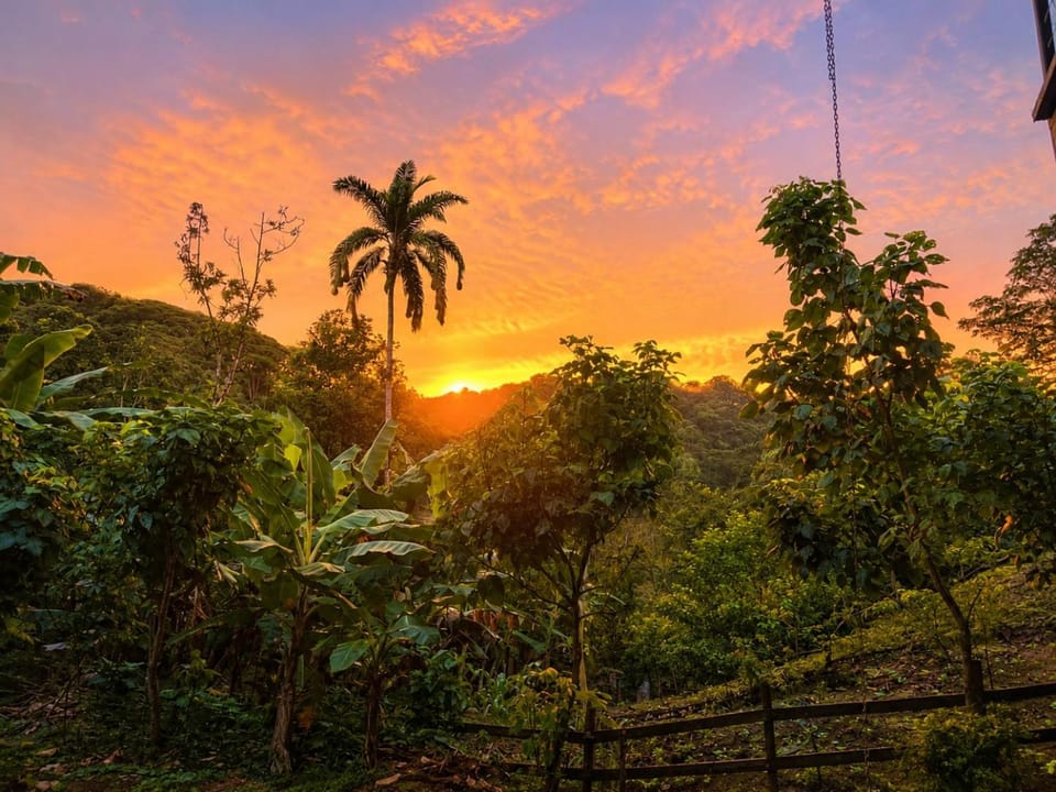 Althi Mountain House House in San José Province