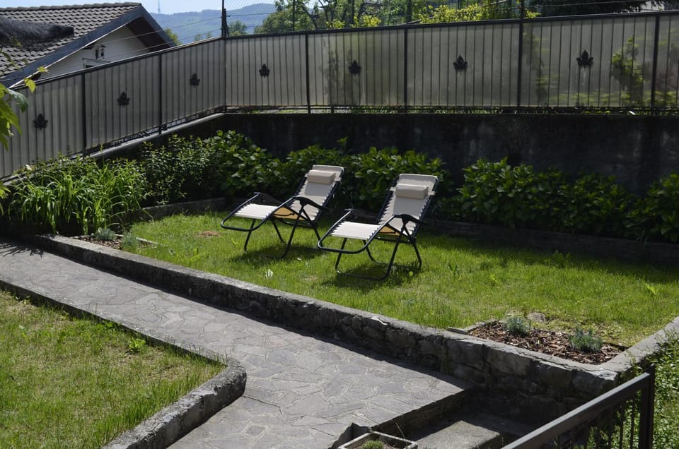 Garden, Garden view, sunbed