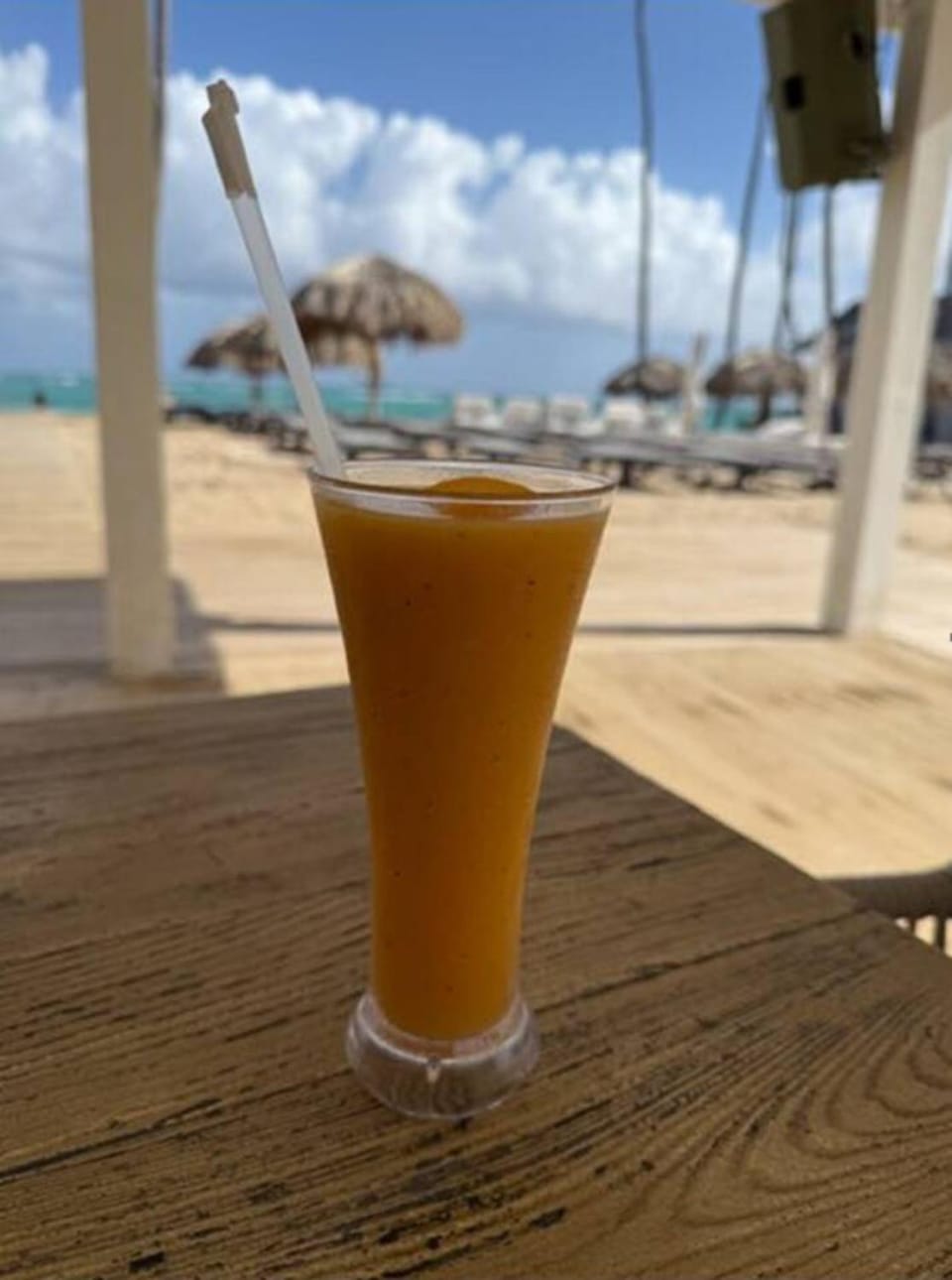 Beachfront Condo, 2 Pools, Private Beach, 8 Guest House in Punta Cana