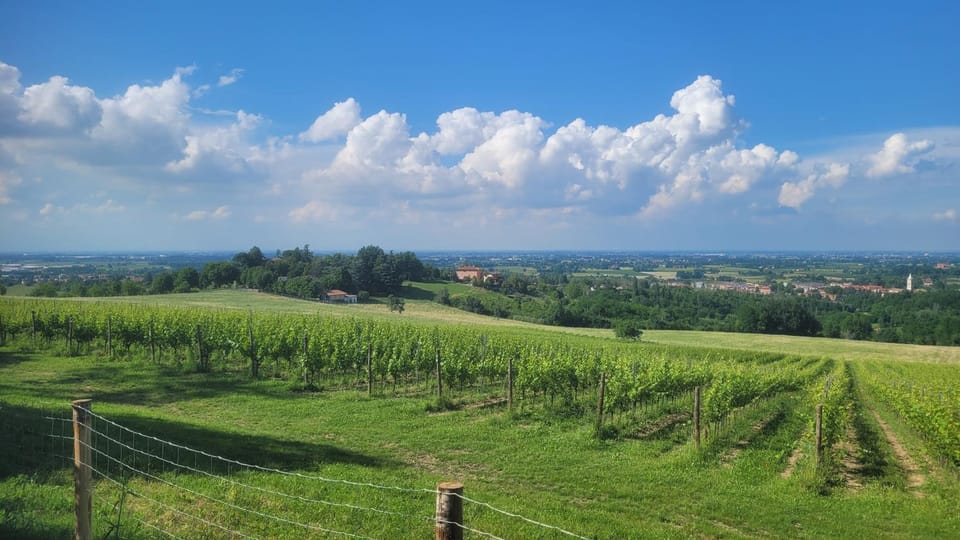 Bella Vista Wine Apartment Apartment in Emilia-Romagna