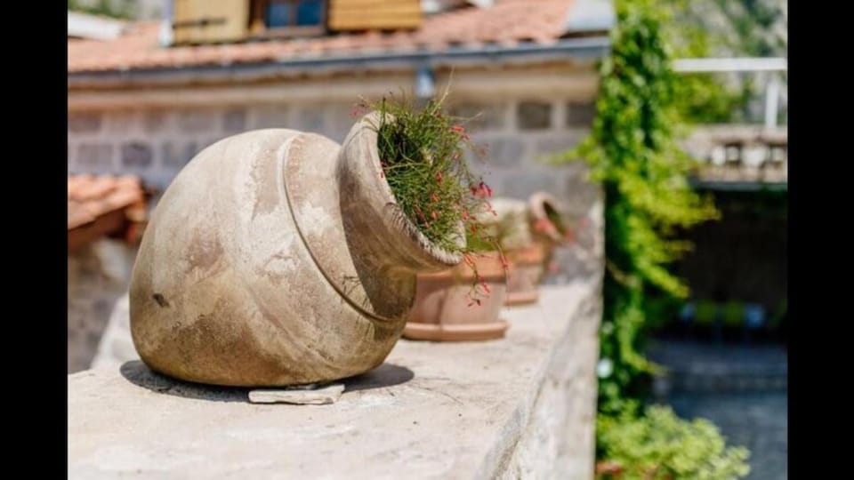 Casa Saruman Apartment in Kotor Municipality