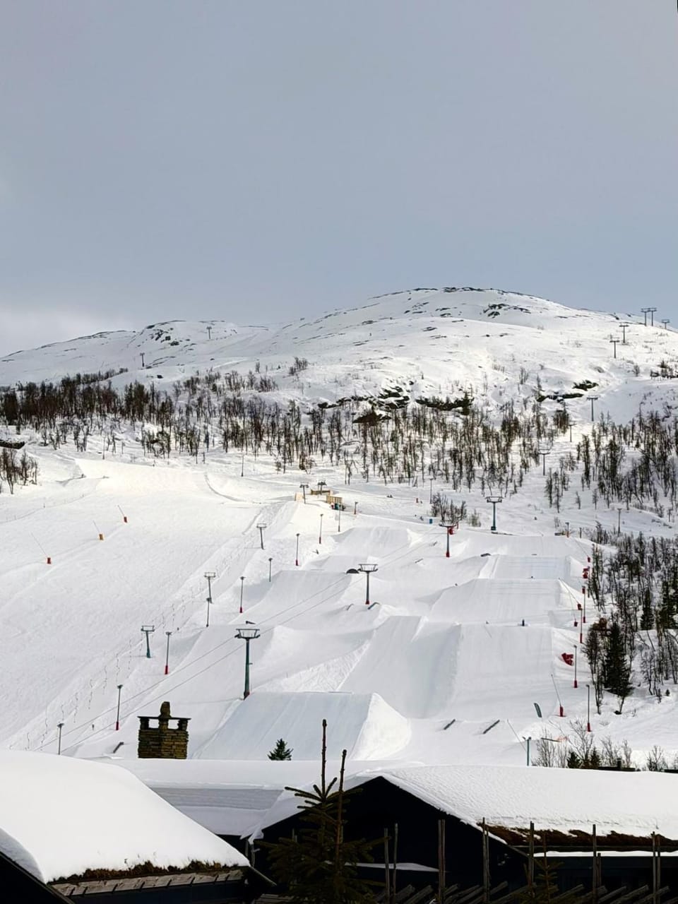 Skiing