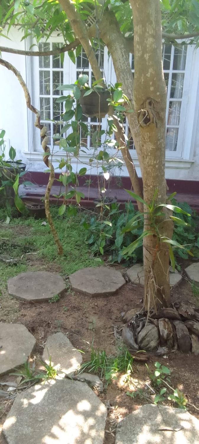Cumini Home stay Vacation rental in Sri Lanka