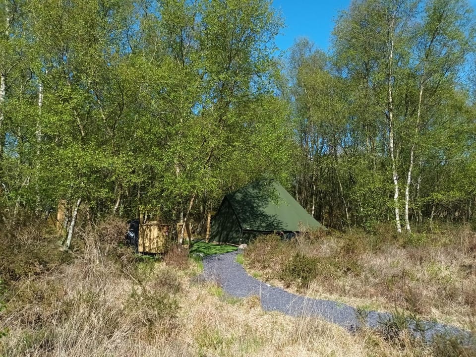 Green woodland bell tent Luxury tent in Wales