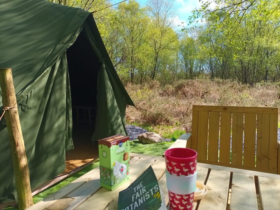 Green woodland bell tent Luxury tent in Wales