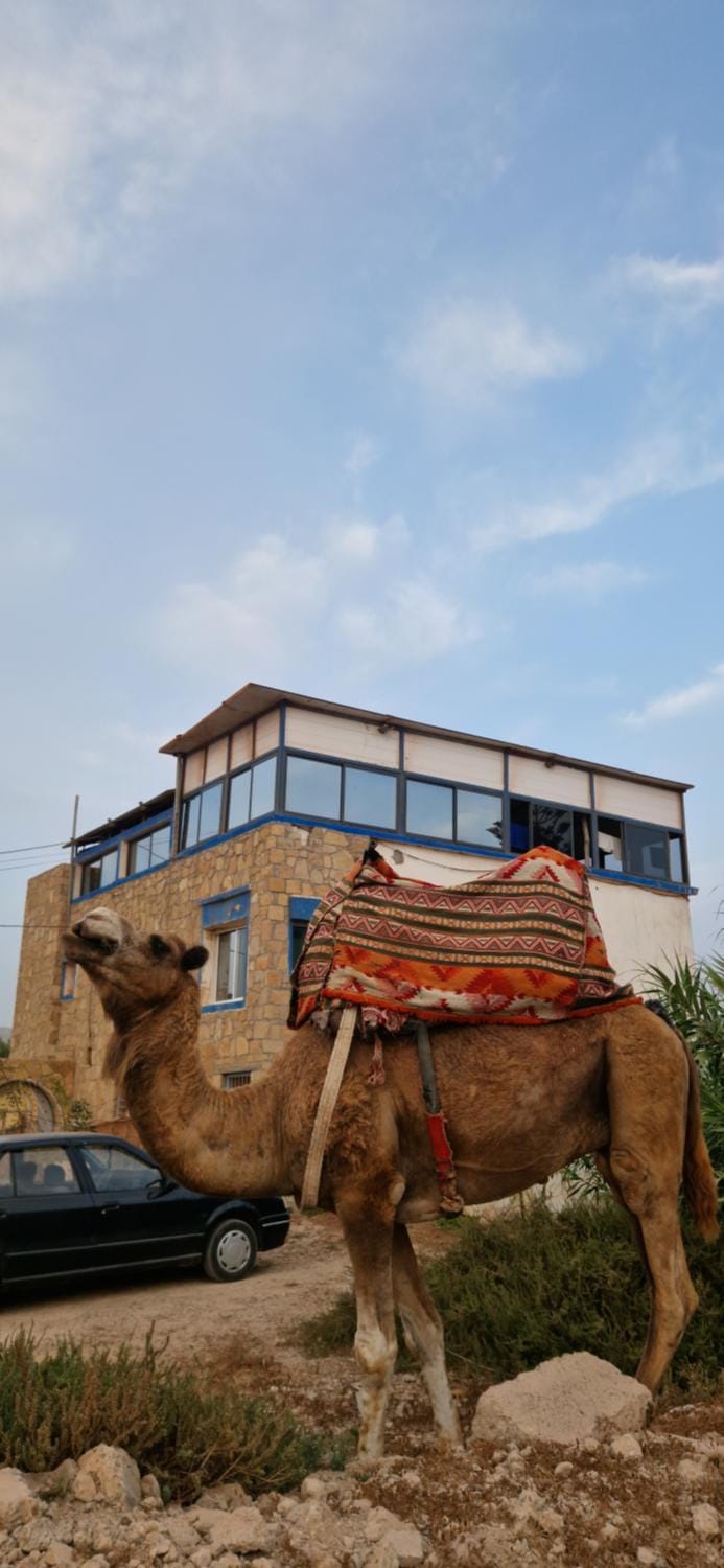 Villa Galactik Pegasus Apartment in Souss-Massa