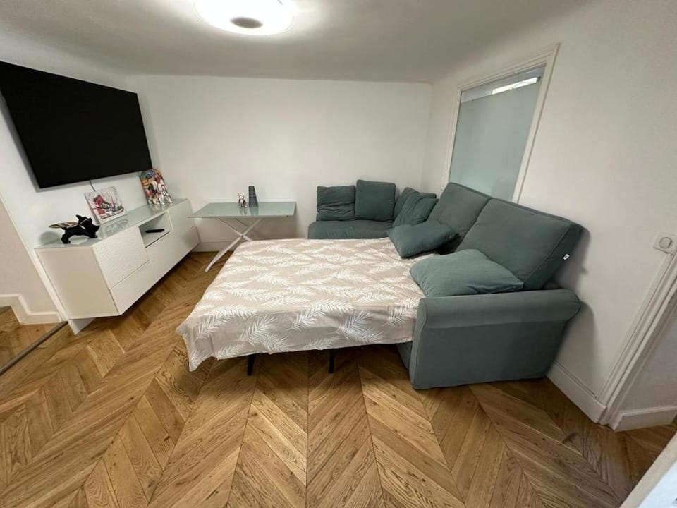 Bed, TV and multimedia, Living room