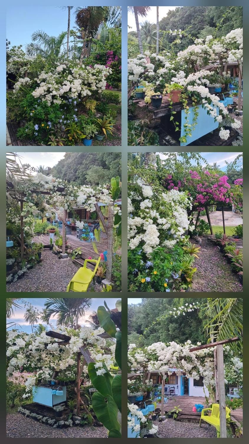 Chez Anna et Hugues Vacation rental in Moorea-Maiao