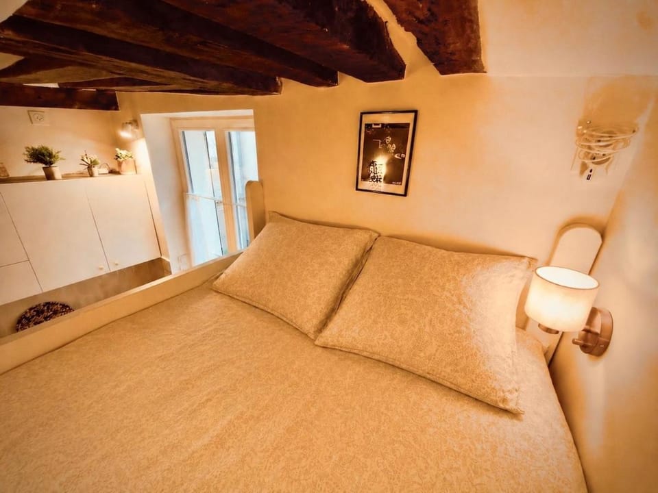 Charming renovated Air Conditioned Studio, Panthéon, Notre Dame Apartment in Paris