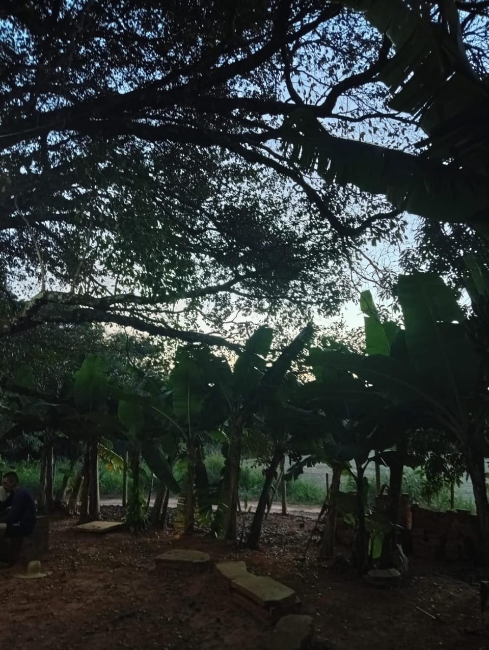 Natural landscape