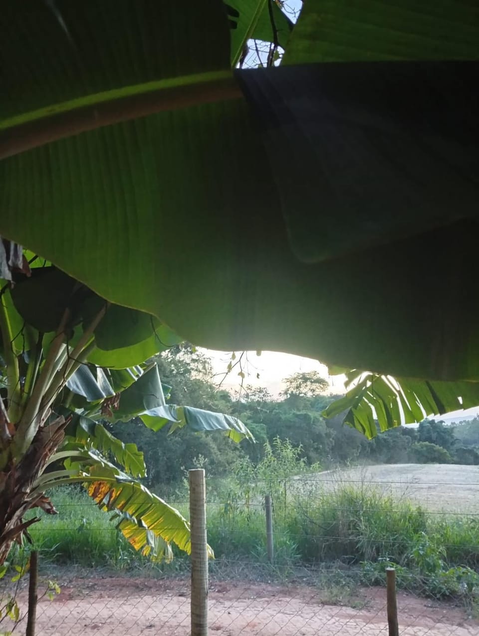 Natural landscape