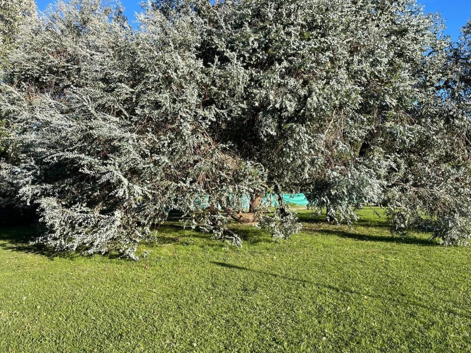 Casa quinta con enorme parque, parrilla, hogar, piscina a 1 hora de CABA House in Santa Fe Province, Argentina