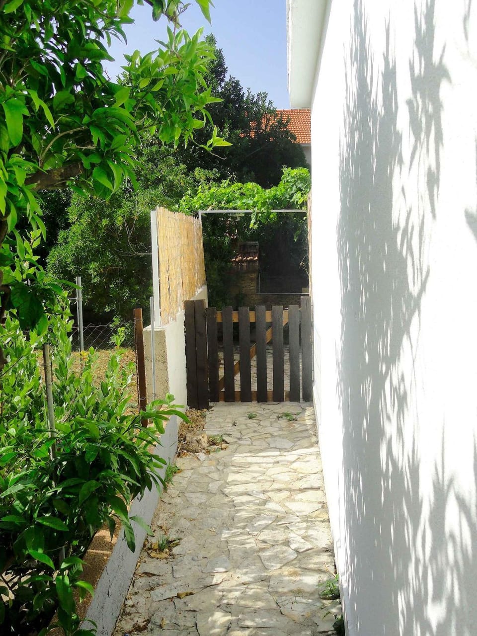 Property building, Summer