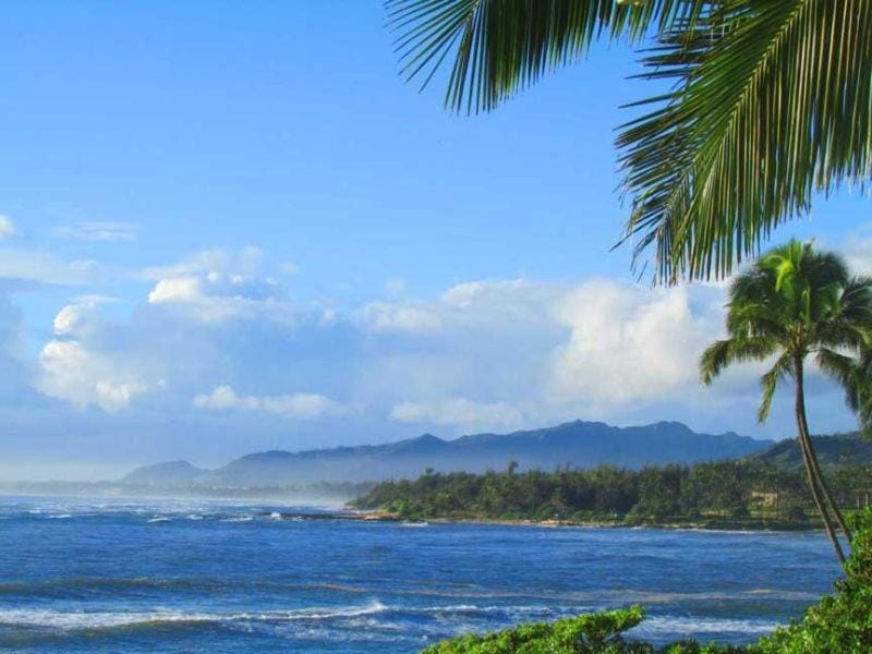 Kapaa Sands by Chase N Rainbows - Studio Ocean Front 09 Apartment in Wailua