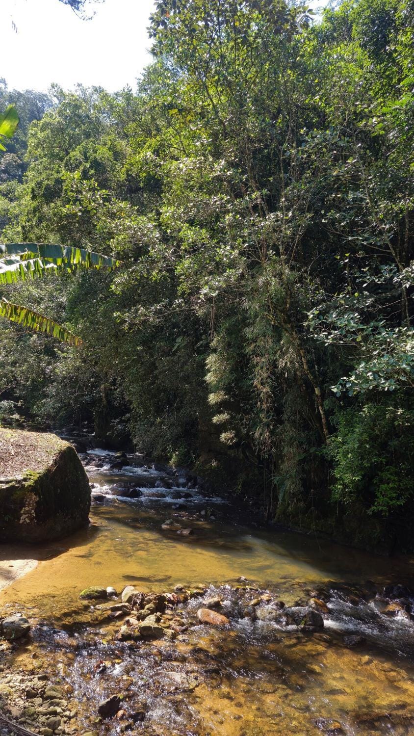 Sítio Águas do Egito House in State of Santa Catarina