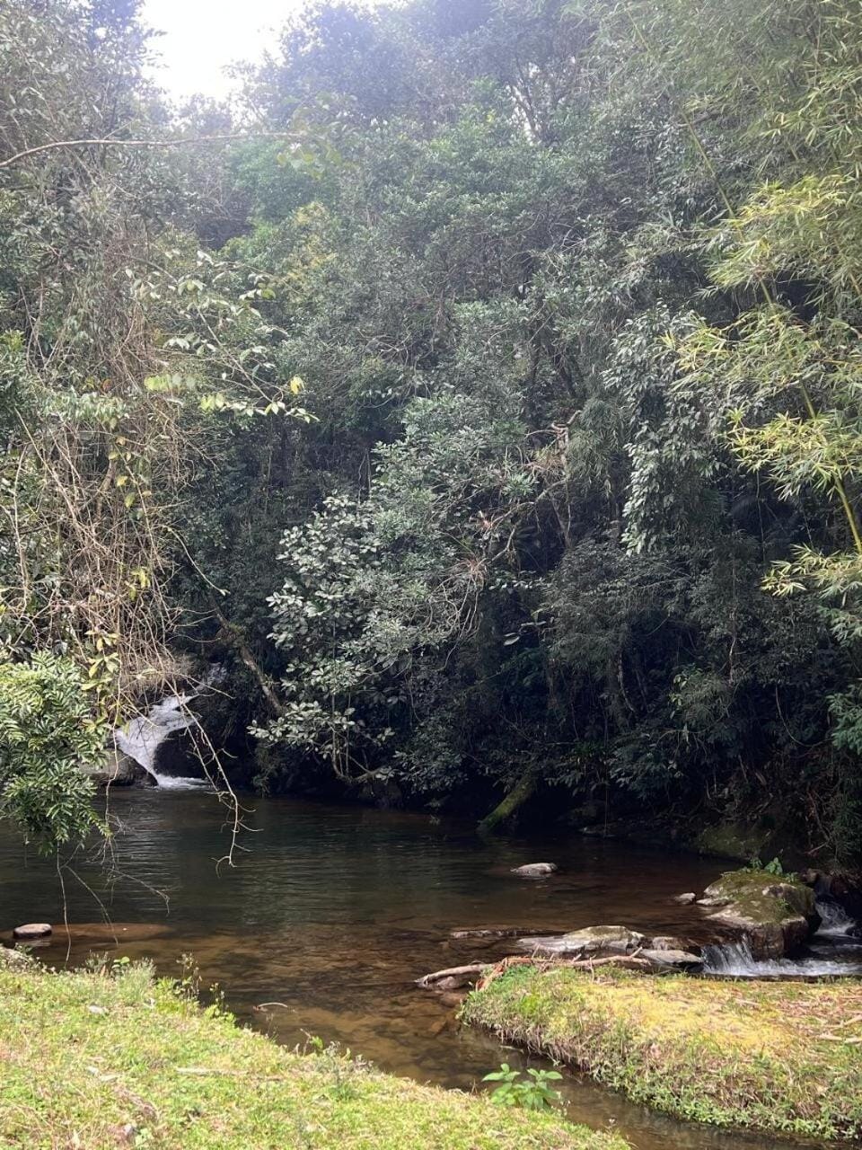 River view