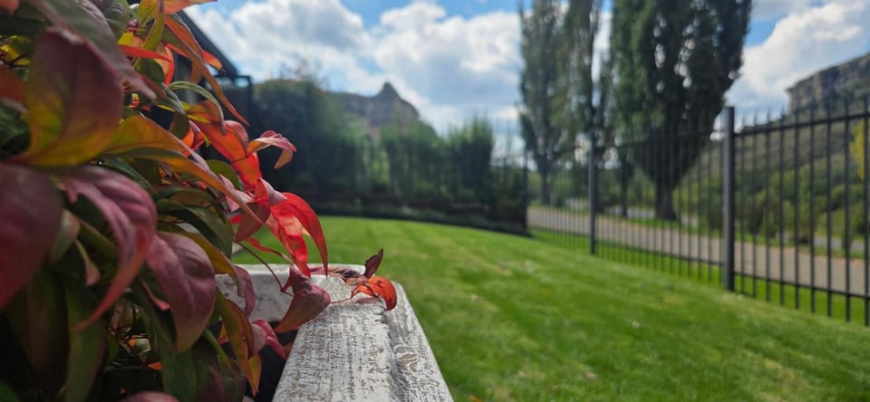 Garden view