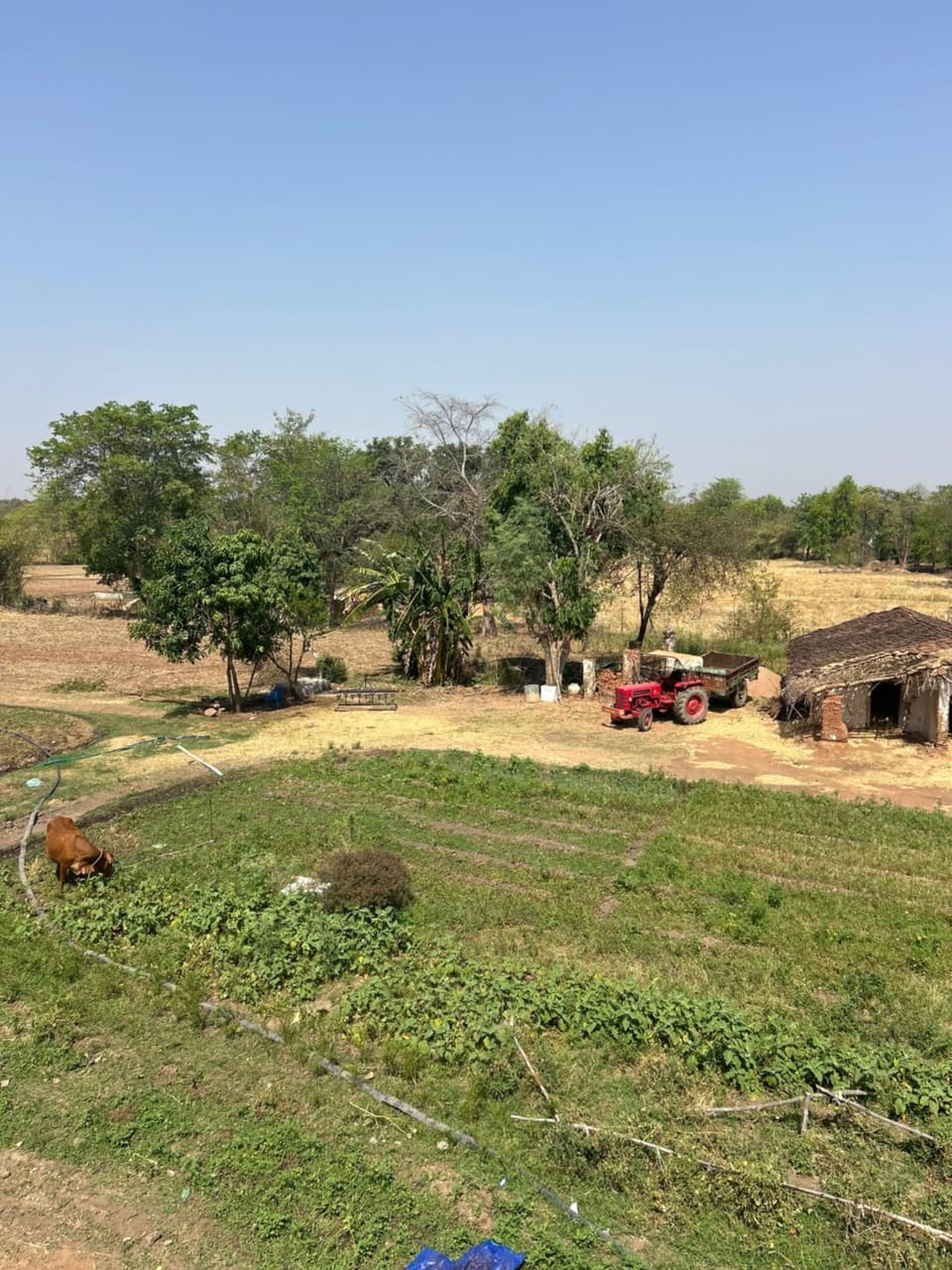 Laxmi Home Stay Khajuraho Vacation rental in India