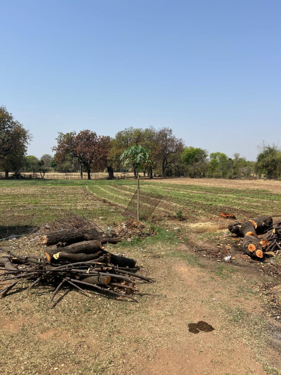 Laxmi Home Stay Khajuraho Vacation rental in India