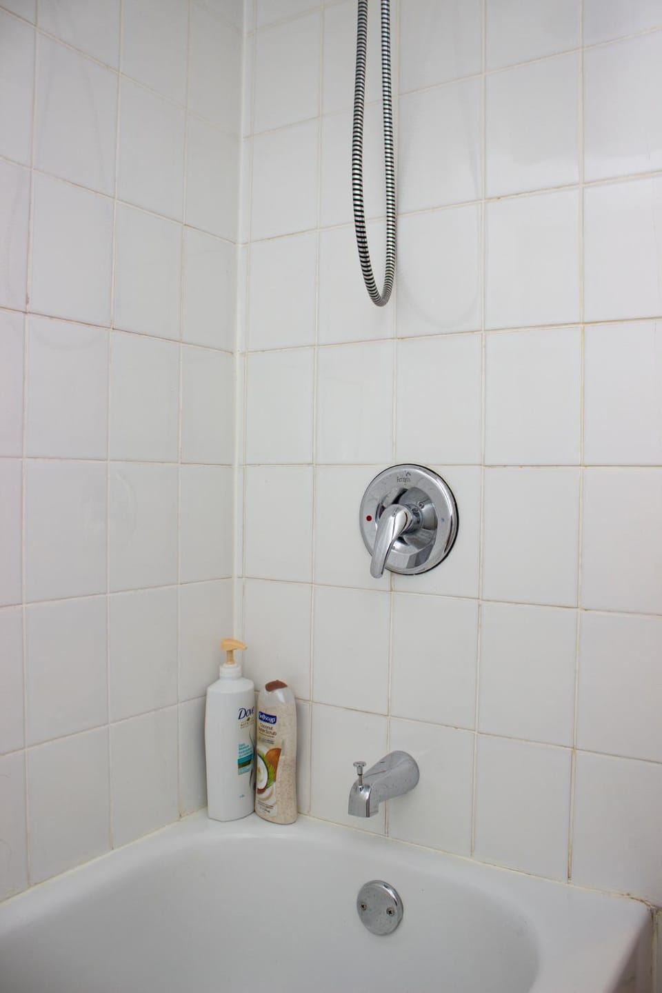 Gorgeous Unit Near General Hospital & Concordia Apartment in Montreal