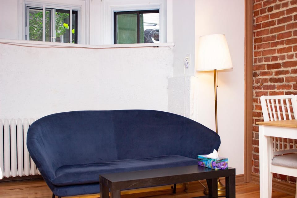 Gorgeous Unit Near General Hospital & Concordia Apartment in Montreal