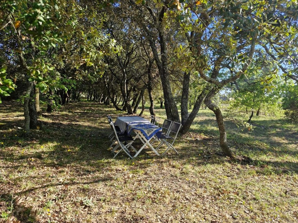 Garden, Dining area