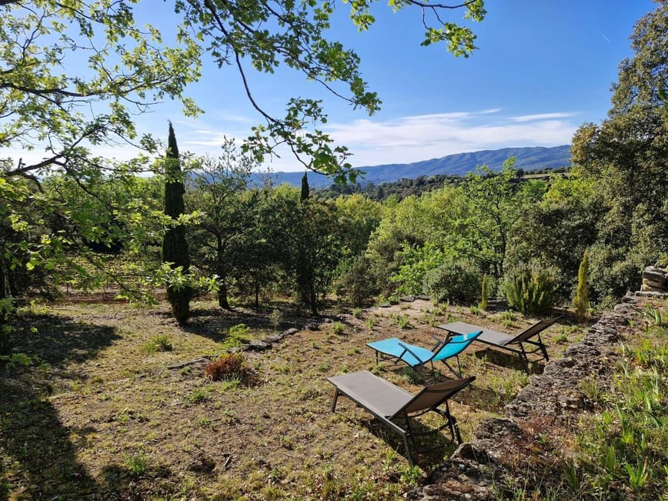 Garden, View (from property/room), Garden view, sunbed