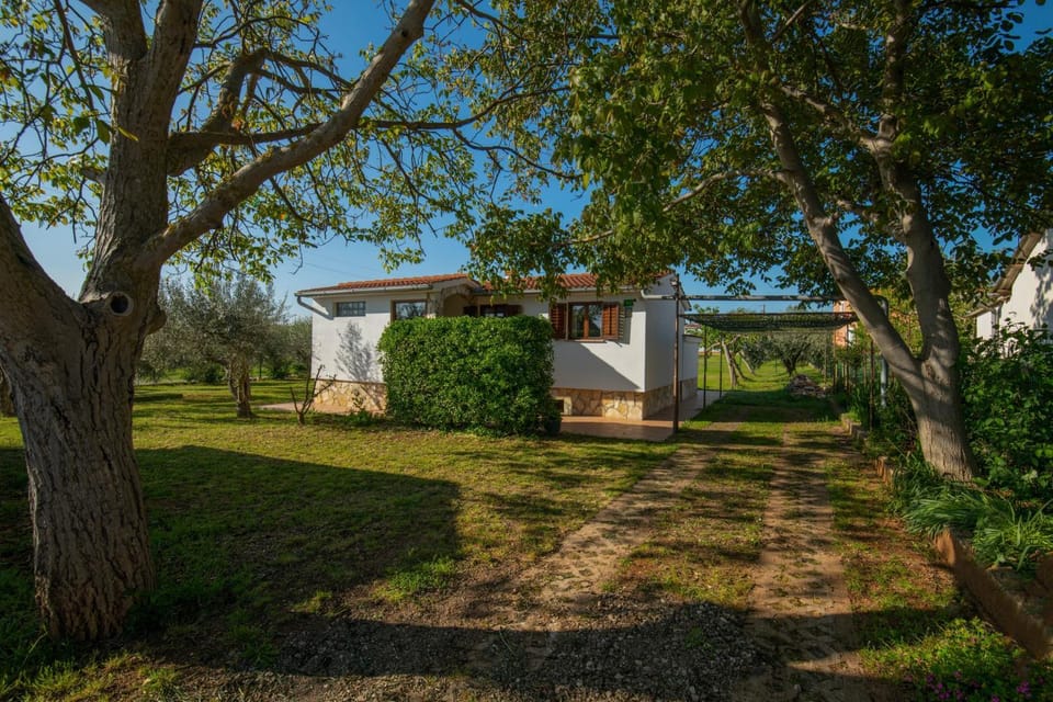 Property building, Spring, Day, Natural landscape, Garden, Garden view