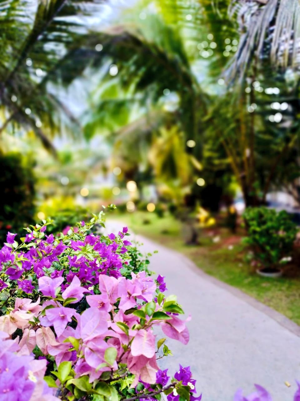 Hotel Green Garden PVT LTD Hotel in Sri Lanka